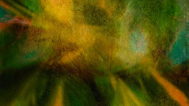 Artistic photo of flower