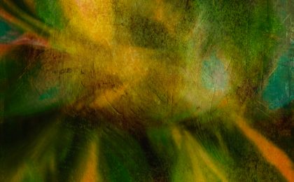 Artistic photo of flower